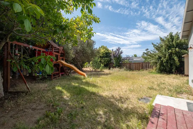 a view of a yard with plants and a slide