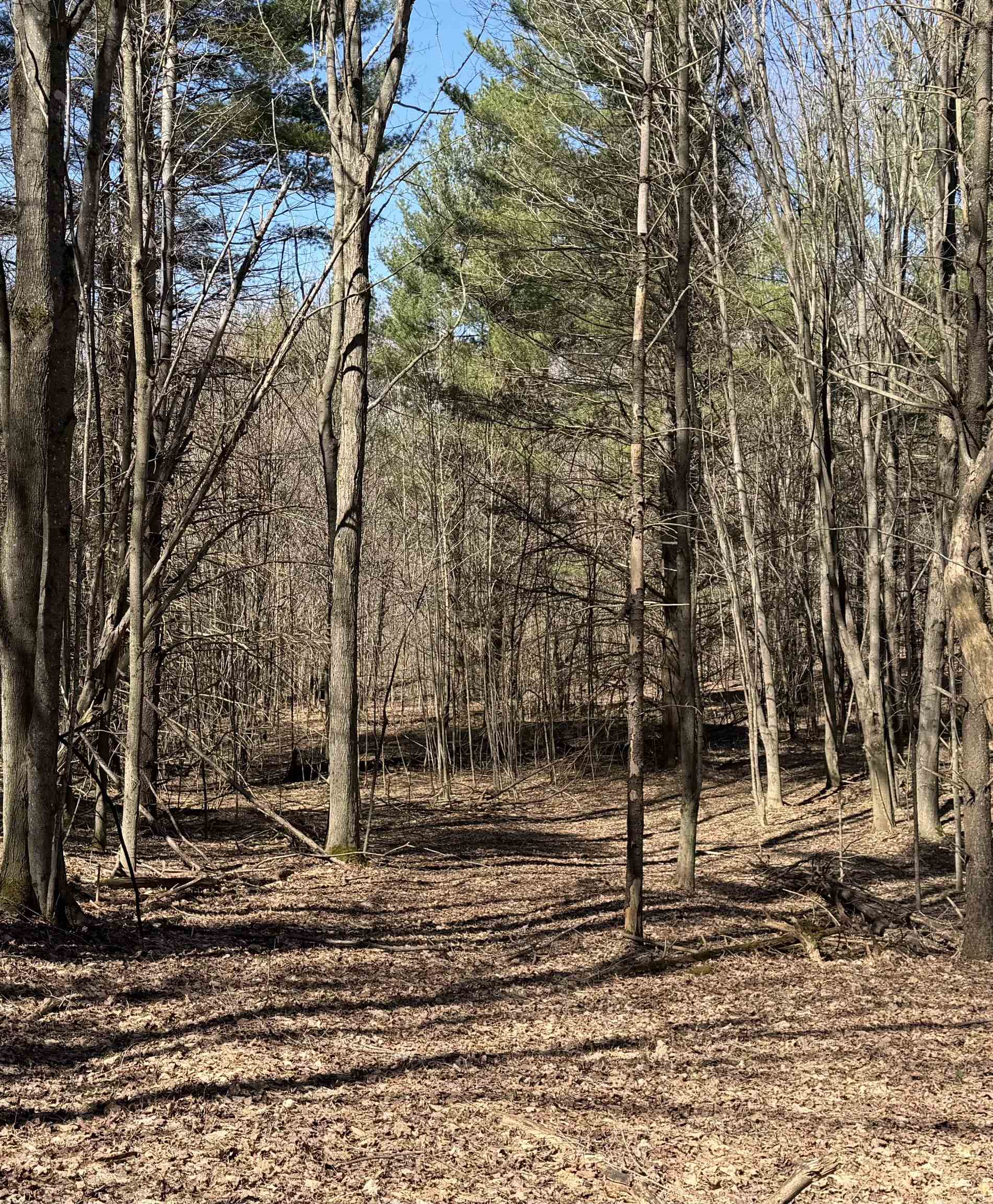 Parcel E Orchard Hill Road Bellaire, MI 49615 - Photo 3 of 13