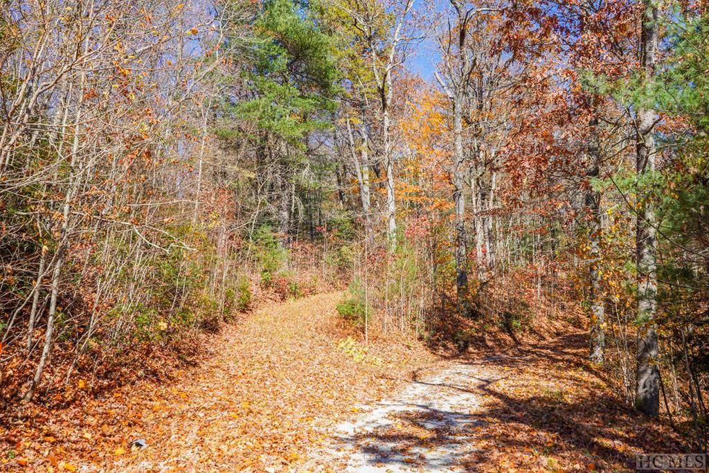 0 Silly Ridge Road Scaly Mountain, NC 28775 - Photo 1 of 5 Gallery Image 1