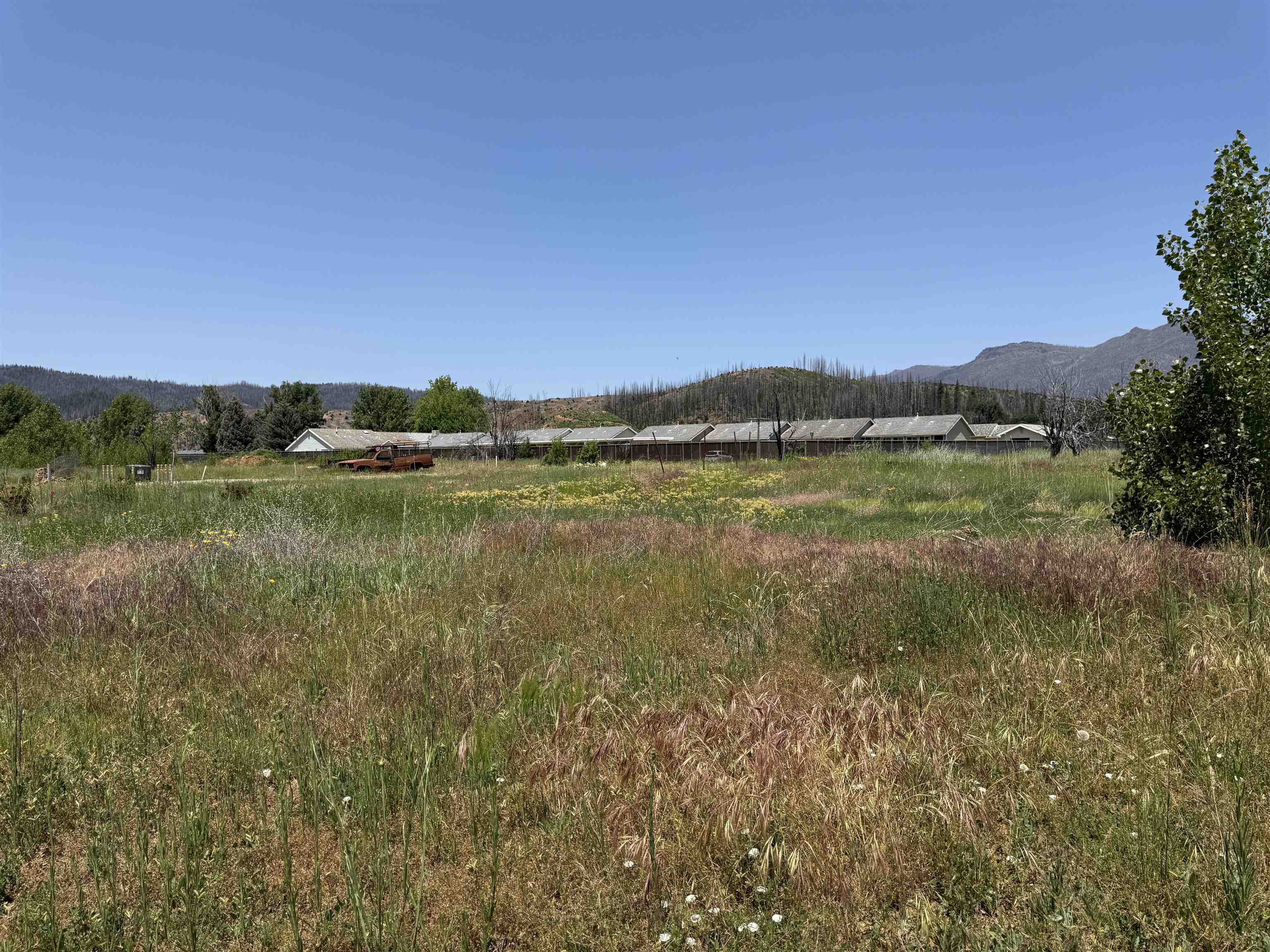 174 Hot Springs Road Greenville, CA 95947 - Photo 3 of 4
