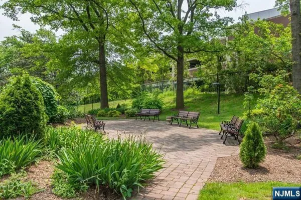 a view of a park with large trees