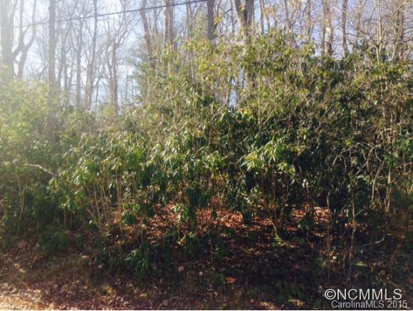 21 Pineview Road Fairview, NC 28730 - Photo 3 of 6 Gallery Image 3