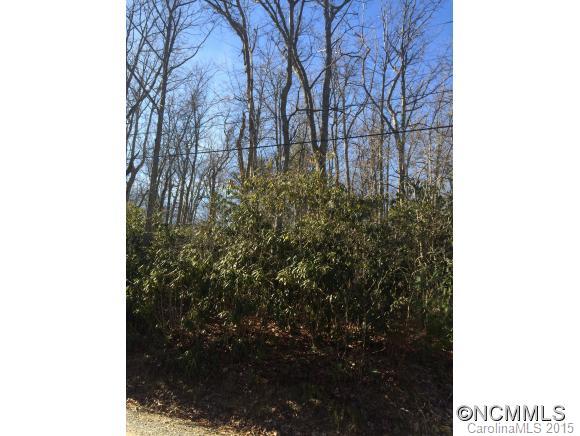 21 Pineview Road Fairview, NC 28730 - Photo 5 of 6 Gallery Image 5