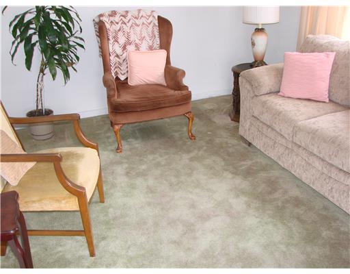 223 Roberts Road Plum, PA 15239 - Photo 4 of 17 Living Room.