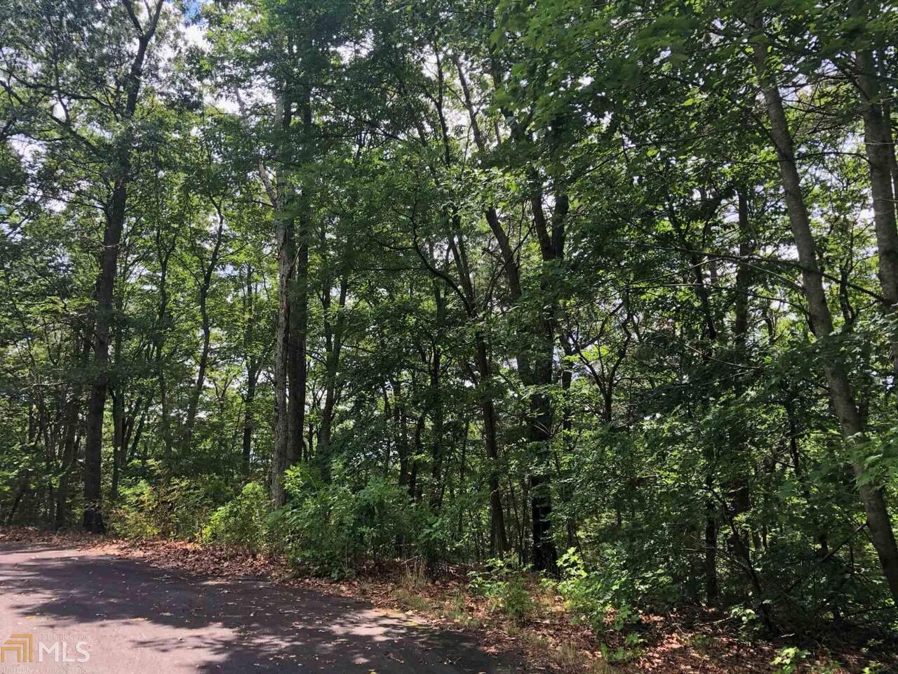 0 Farmview Road, Unit LOT 35 Talking Rock, GA 30175 - Photo 1 of 1
