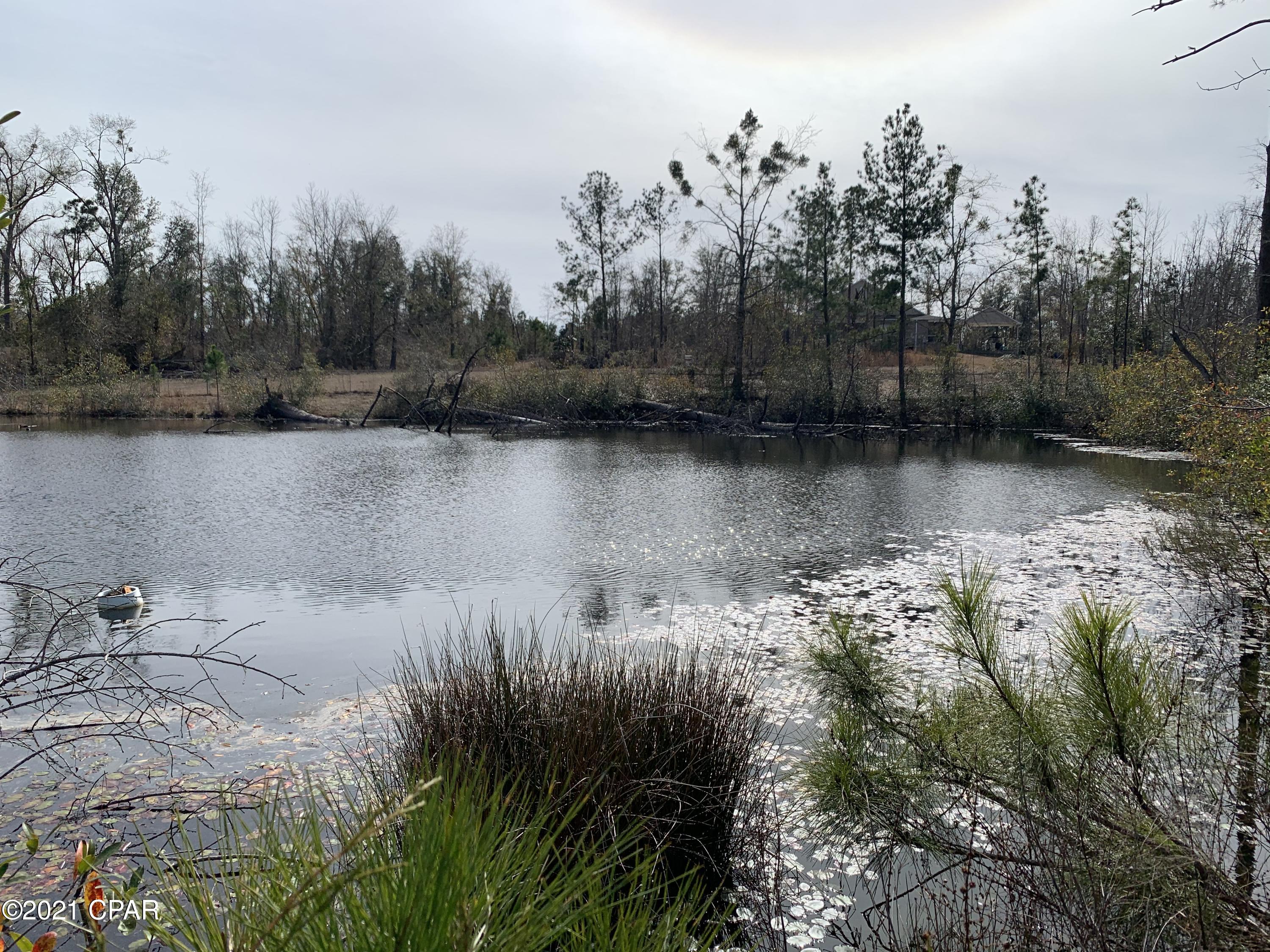 779 Highway 69 Grand Ridge, FL 32442 - Photo 86 of 88 Gallery Image 86