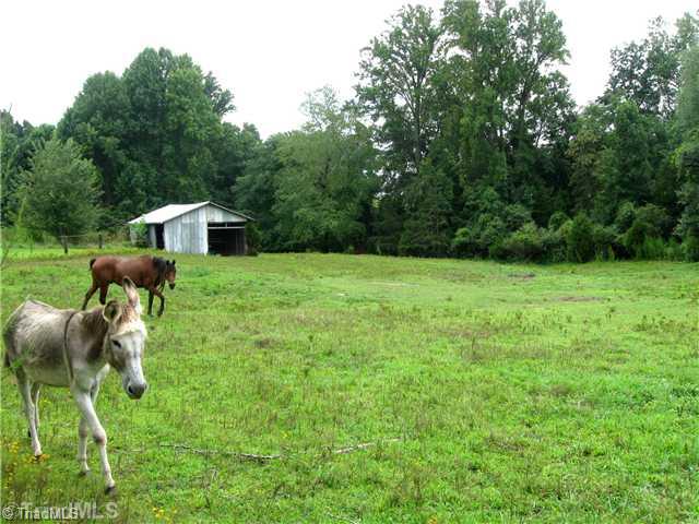 208 Collins Road Madison, NC 27025 - Photo 7 of 16 Land. Pasture & Barn/Stable