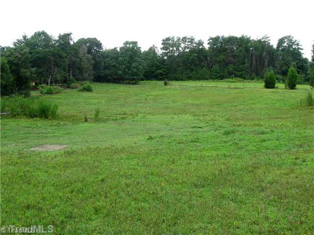 208 Collins Road Madison, NC 27025 - Photo 8 of 16 Land. Pasture
