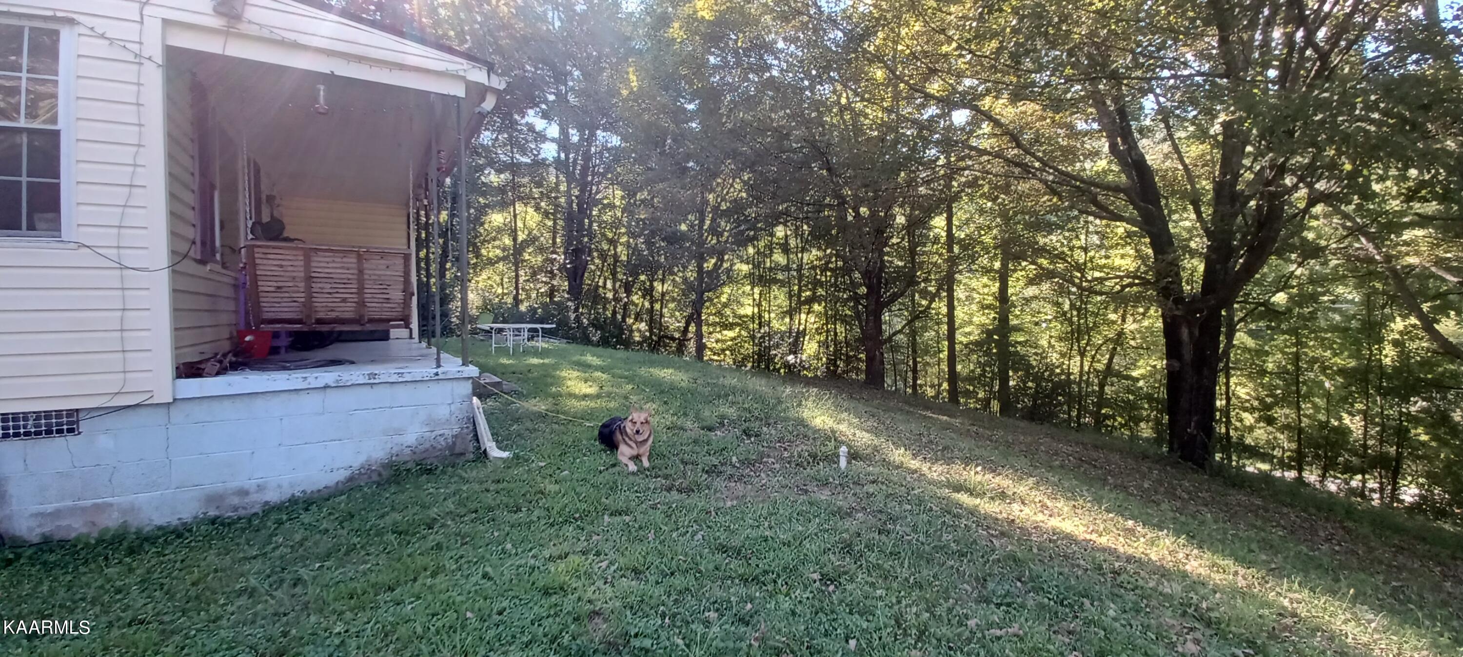 733 Daugherty Road Oliver Springs, TN 37840 - Photo 3 of 6 20220908_170550