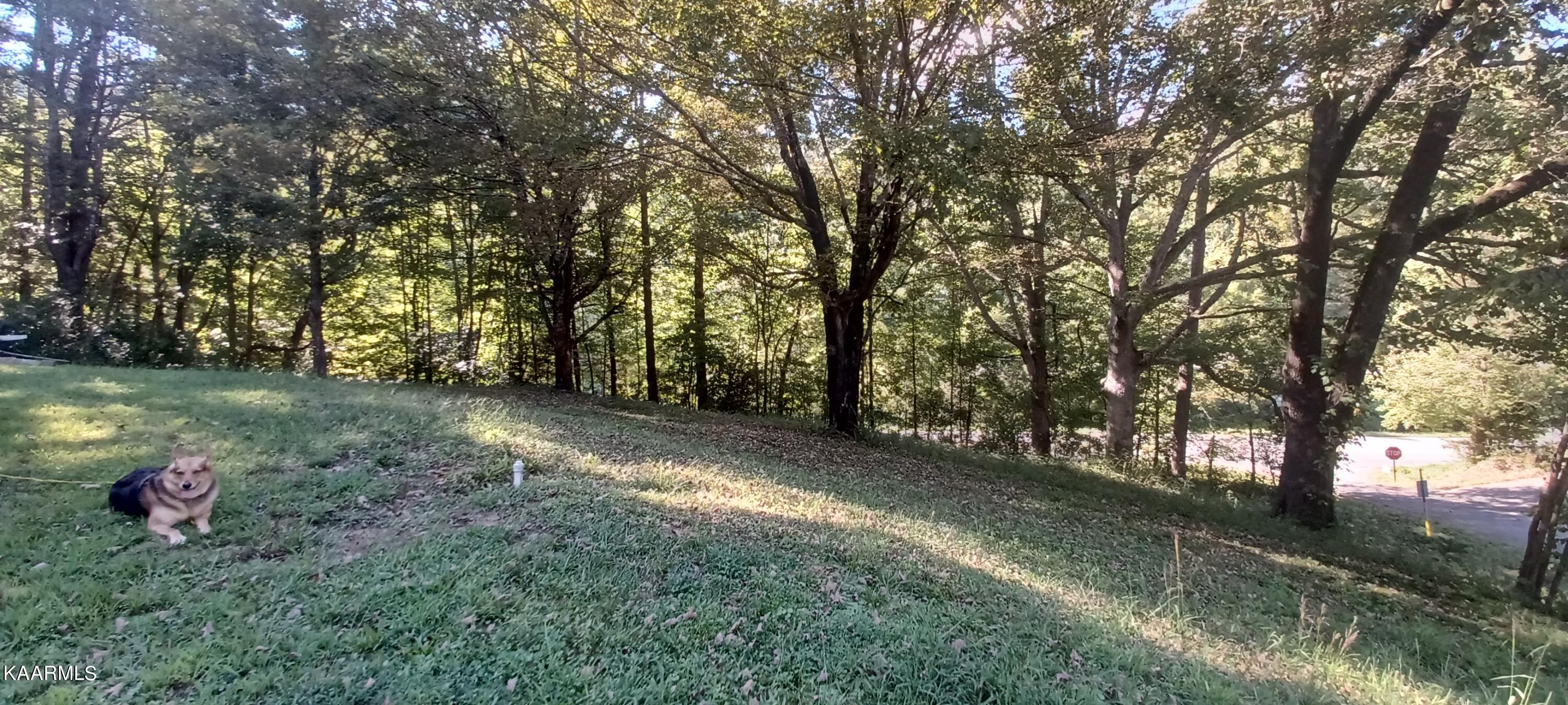 733 Daugherty Road Oliver Springs, TN 37840 - Photo 5 of 6 20220908_170545