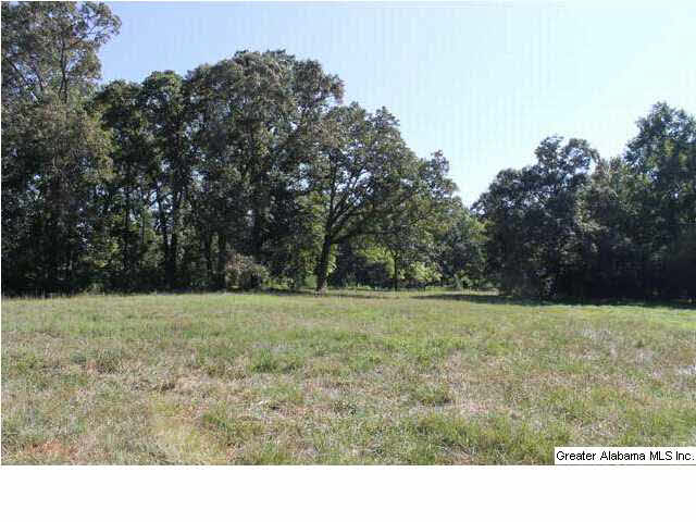 619 County Road, Unit 59 5AC Woodland, AL 36280 - Photo 4 of 13