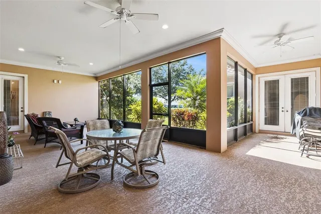 a view of a park with large trees