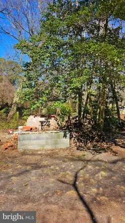 a view of a backyard with table and chairs potted plants and tree