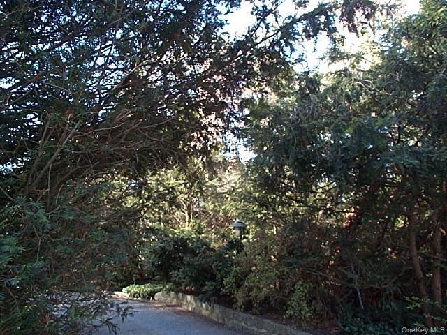 80 Longview Road Port Washington, NY 11050 - Photo 1 of 1 a view of tree