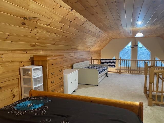 11076 Norman Road Yale, MI 48097 - Photo 80 of 99 50127457-79.JPG
