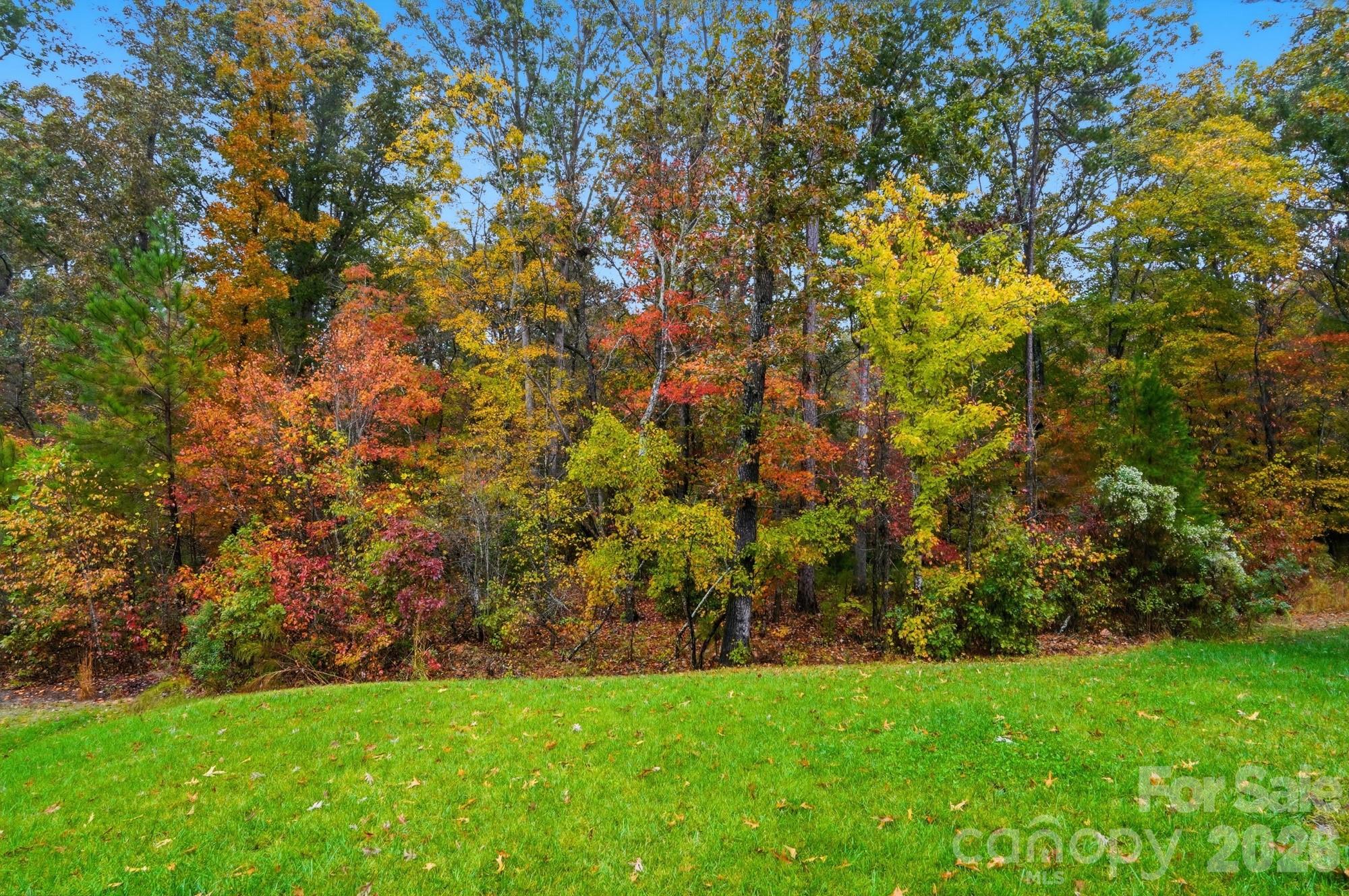 4044 Brandywine Terrace Lancaster, SC 29720 - Photo 47 of 48 a view of yard with trees