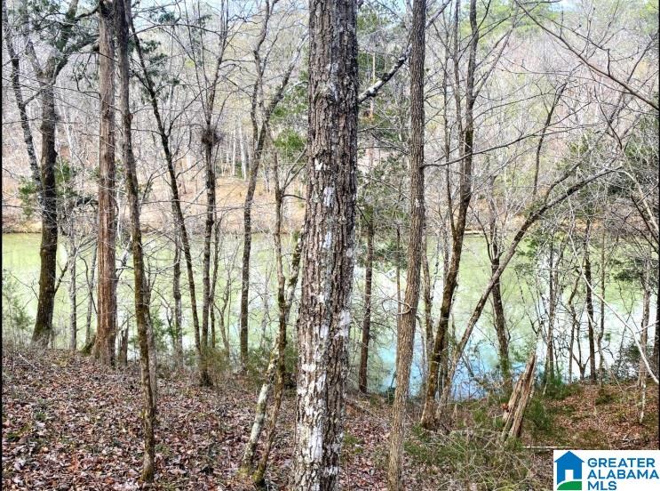 North Hagler Road, Unit 1 Northport, AL 35475 - Photo 10 of 12