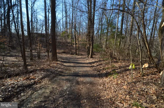 a view of backyard with green space