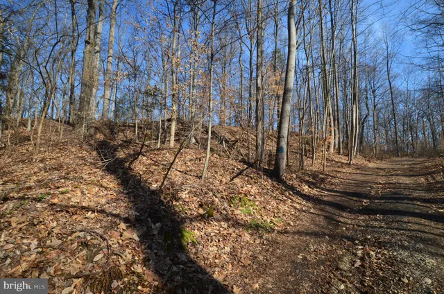 a view of outdoor space with a yard