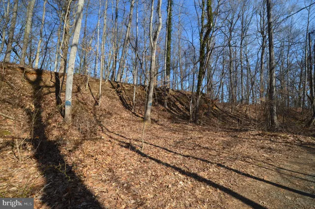 a view of a backyard of the house