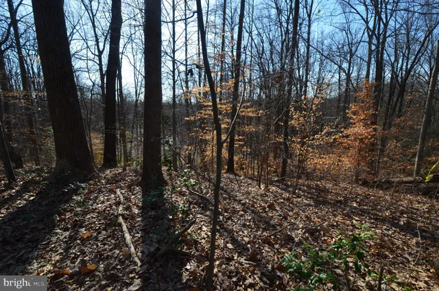 a view of outdoor space and a yard