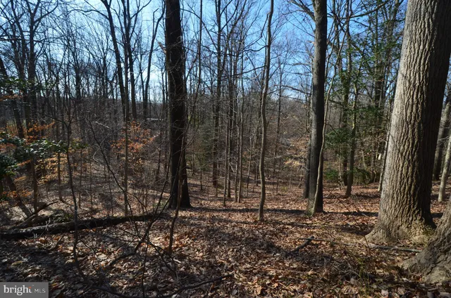 a view of outdoor space with green space