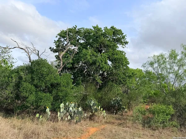 $875,000 | 3980 Highway 173, Jourdanton, TX 78026