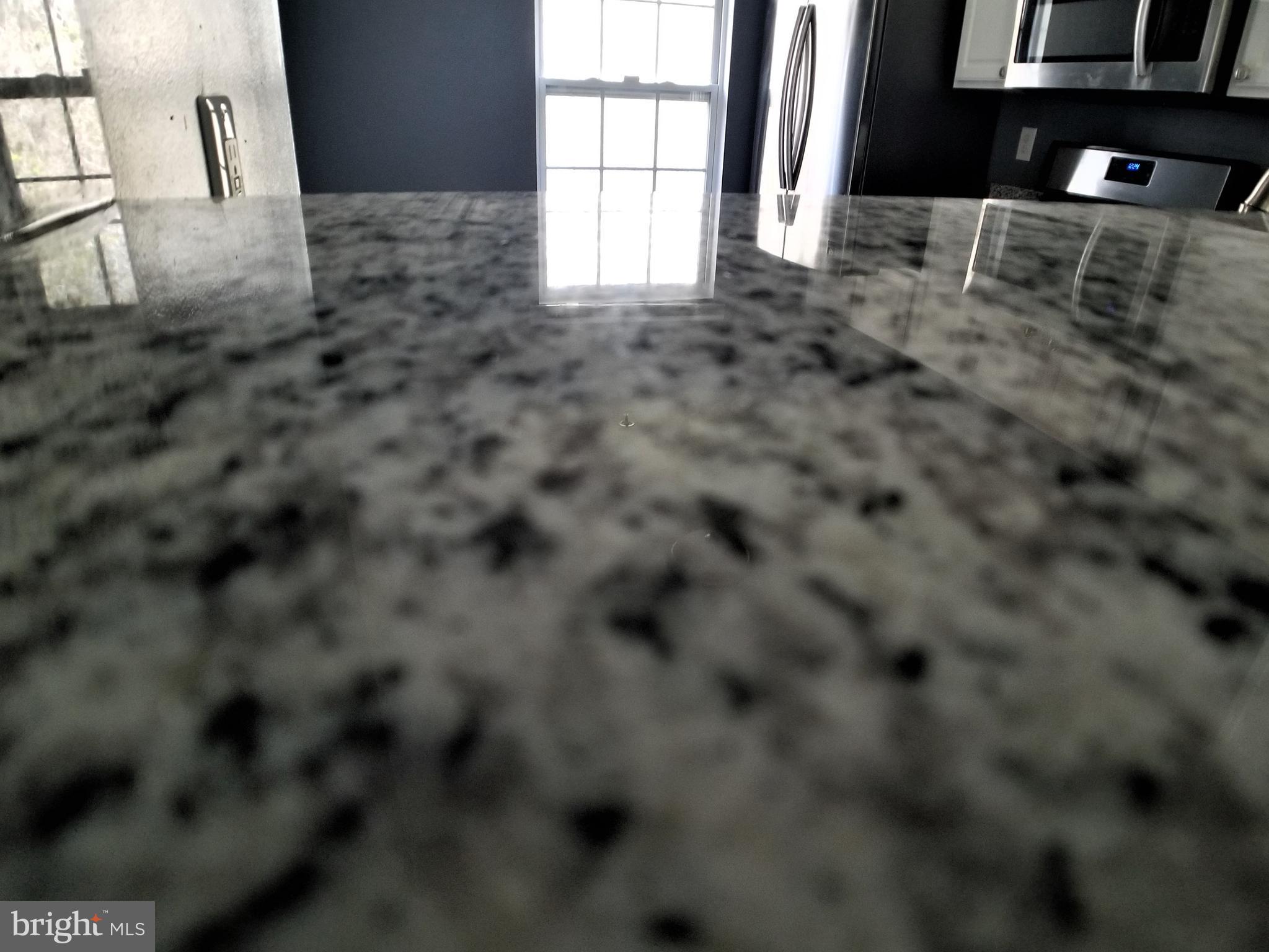 32 Gwynnswood Road Owings Mills, MD 21117 - Photo 6 of 27 New Granite counter tops