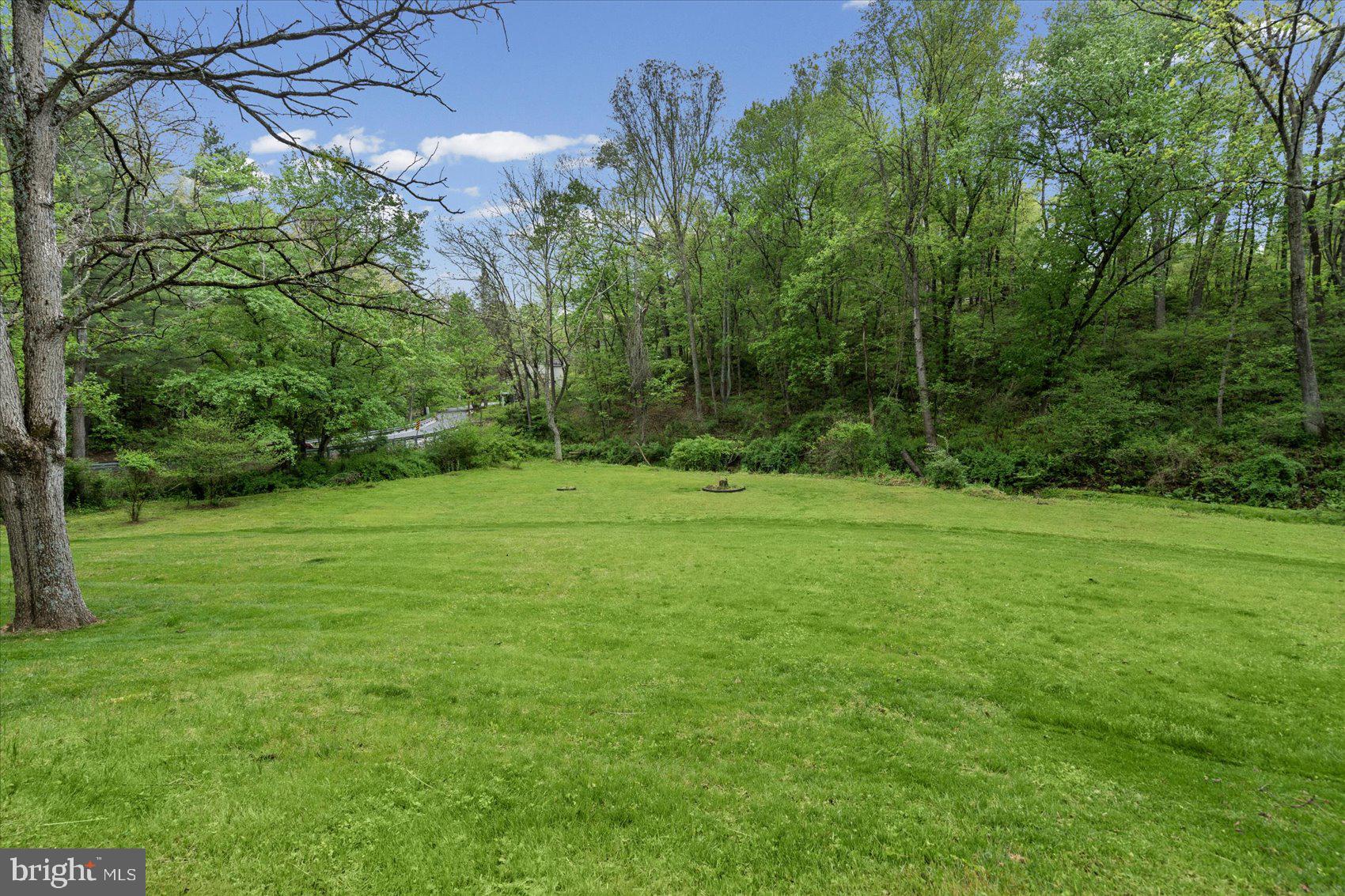 2056 Brown Road Finksburg, MD 21048 - Photo 36 of 45 Lush green oasis in serene surroundings.