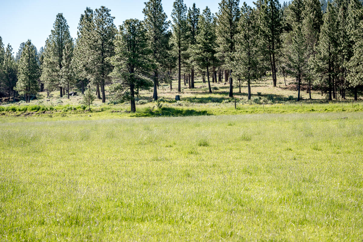 9996 West Langell Valley Road Bonanza, OR 97623 - Photo 40 of 45 9996WLangellValley-BGP-MLS-2351