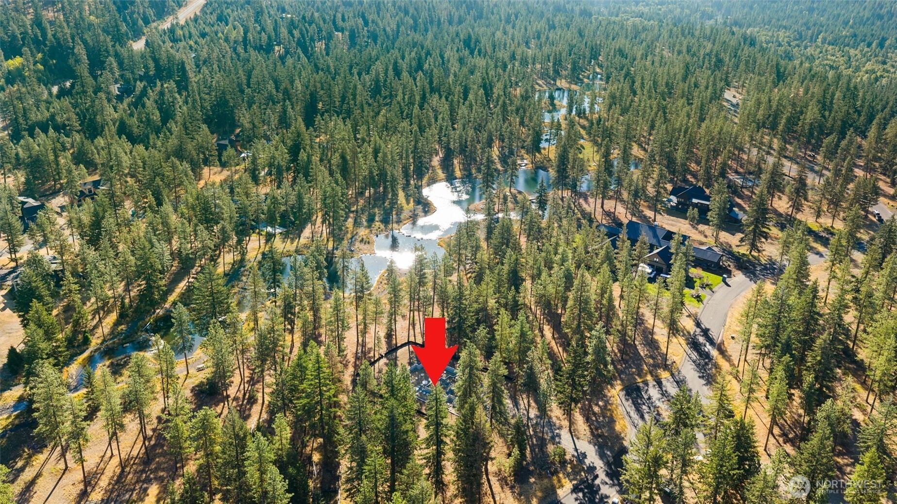 1891 Wanawish Loop Cle Elum, WA 98922 - Photo 12 of 21 a view of swings on a tree