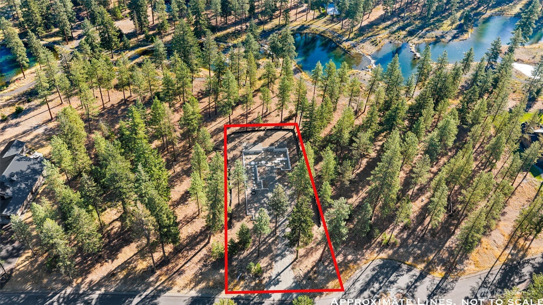 1891 Wanawish Loop Cle Elum, WA 98922 - Photo 10 of 21 a picture of a tree