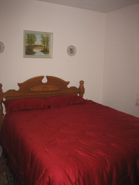 56332 Buckhorn Road Three Rivers, MI 49093 - Photo 13 of 14 Additional Photo