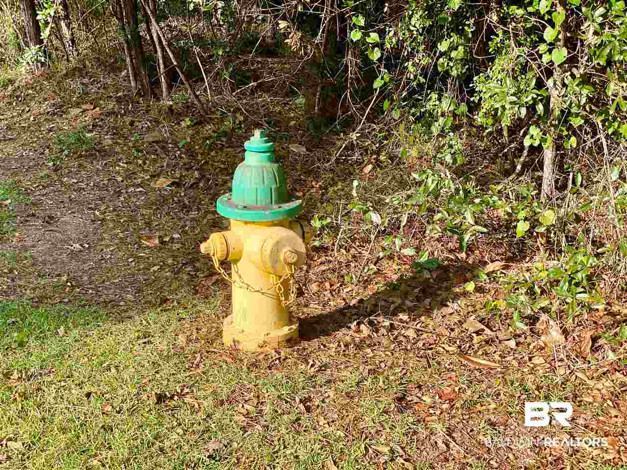 0 Maureen Circle Daphne, AL 36527 - Photo 22 of 26