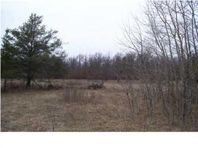 Powerline Road, Unit PAR A Ravenna, MI 49451 - Photo 2 of 3 Additional Photo