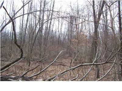 Powerline Road, Unit PAR A Ravenna, MI 49451 - Photo 3 of 3 Additional Photo
