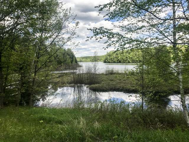 14751479 Lon Basco Lane Road Gleason, WI 54435 - Photo 2 of 18 Gallery Image 2