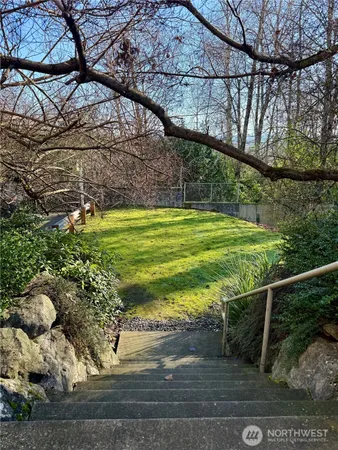 a view of a backyard