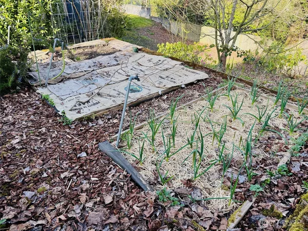 a view of a backyard with wooden fence