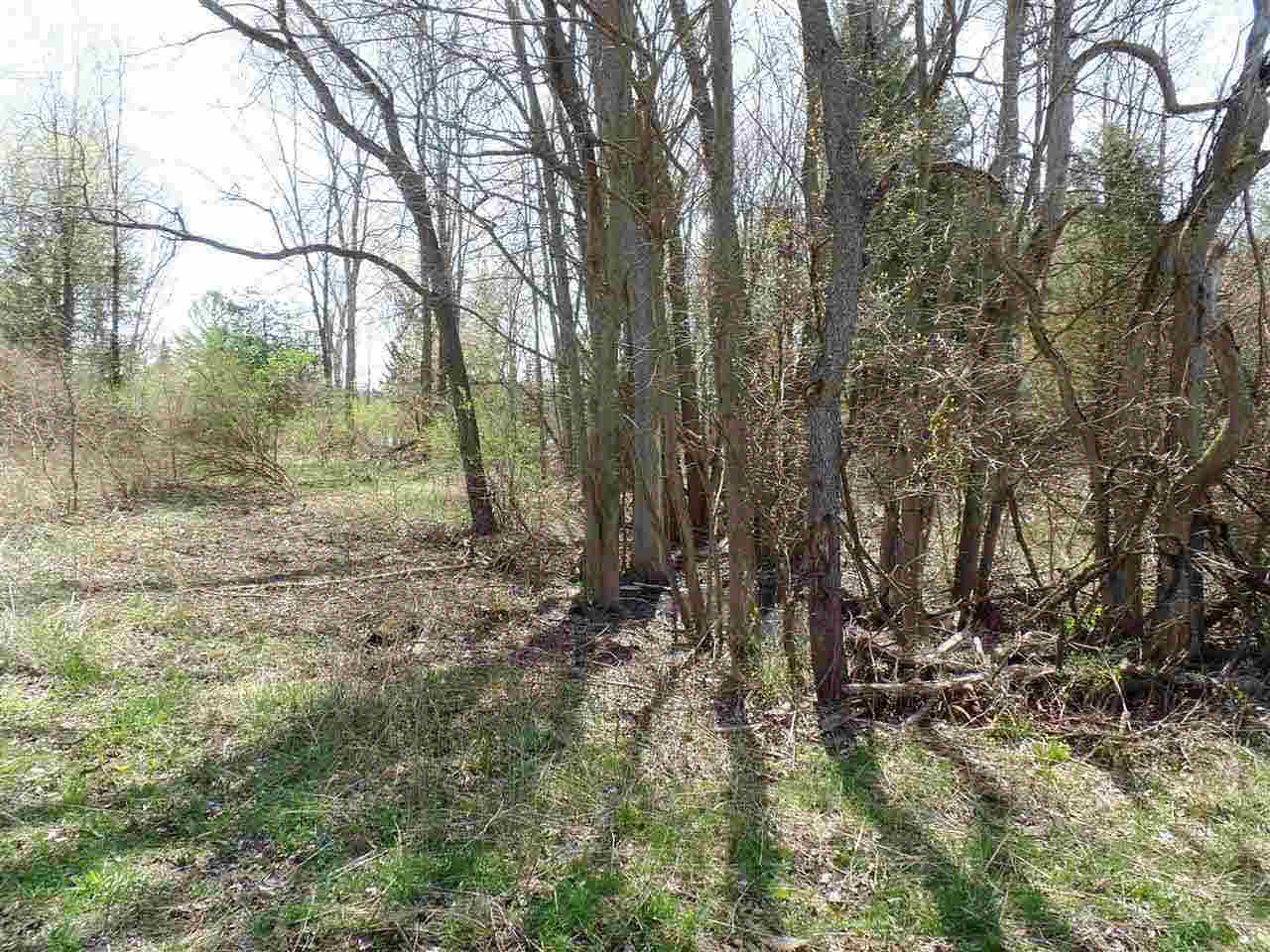 Sweezy Lake Road, Unit V/L Brooklyn, MI 49230 - Photo 21 of 21 Gallery Image 21