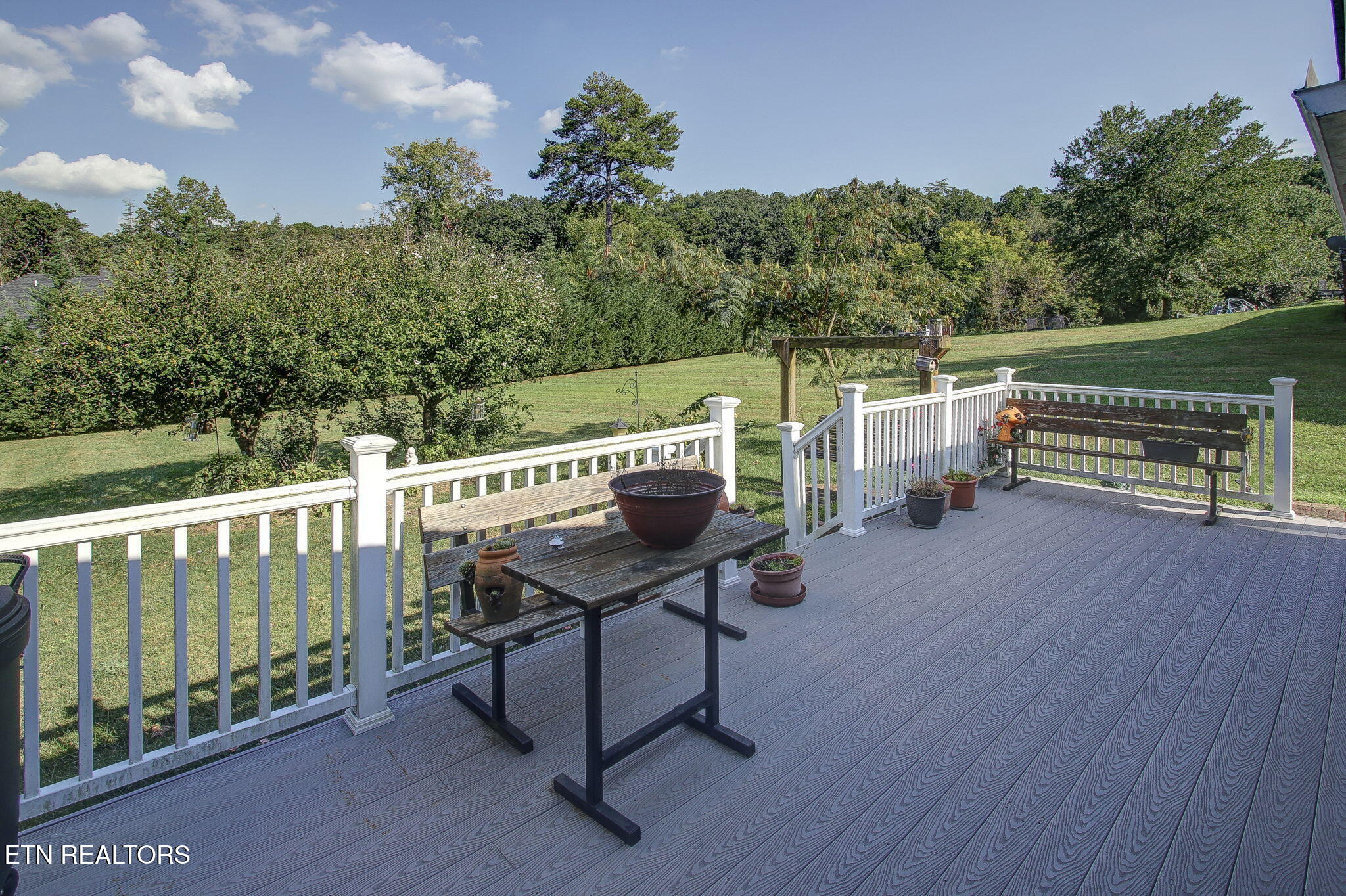 3726 Cherrylog Road Knoxville, TN 37921 - Photo 11 of 34 Back Deck