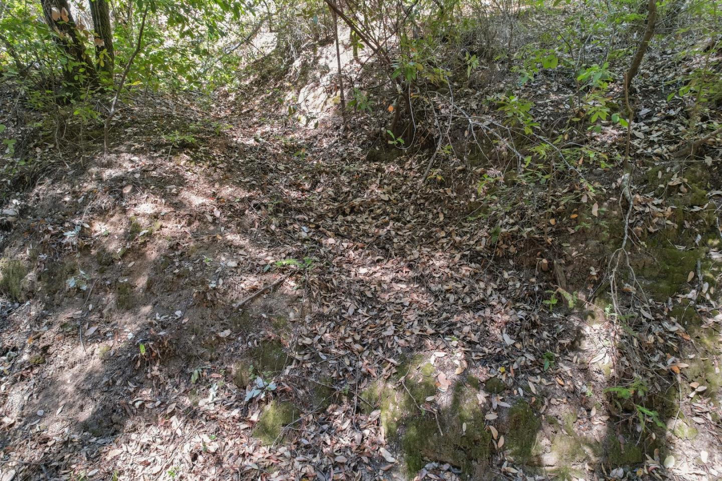 1 Hubbard Gulch Road Ben Lomond, CA 95005 - Photo 13 of 29 Gallery Image 13