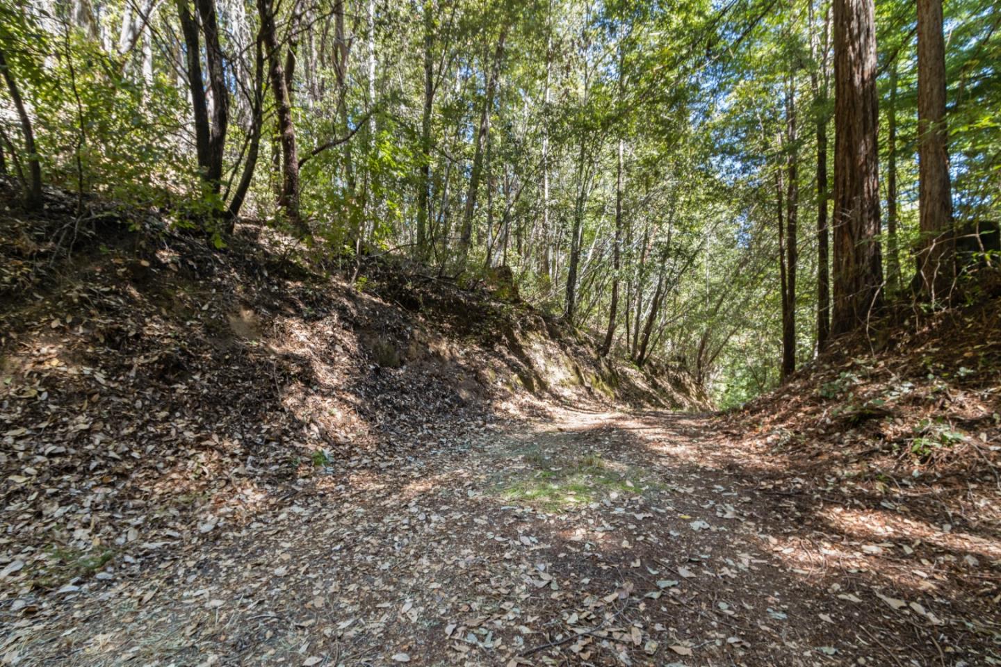 1 Hubbard Gulch Road Ben Lomond, CA 95005 - Photo 17 of 29 Gallery Image 17