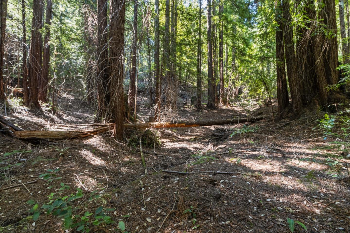 1 Hubbard Gulch Road Ben Lomond, CA 95005 - Photo 19 of 29 Gallery Image 19