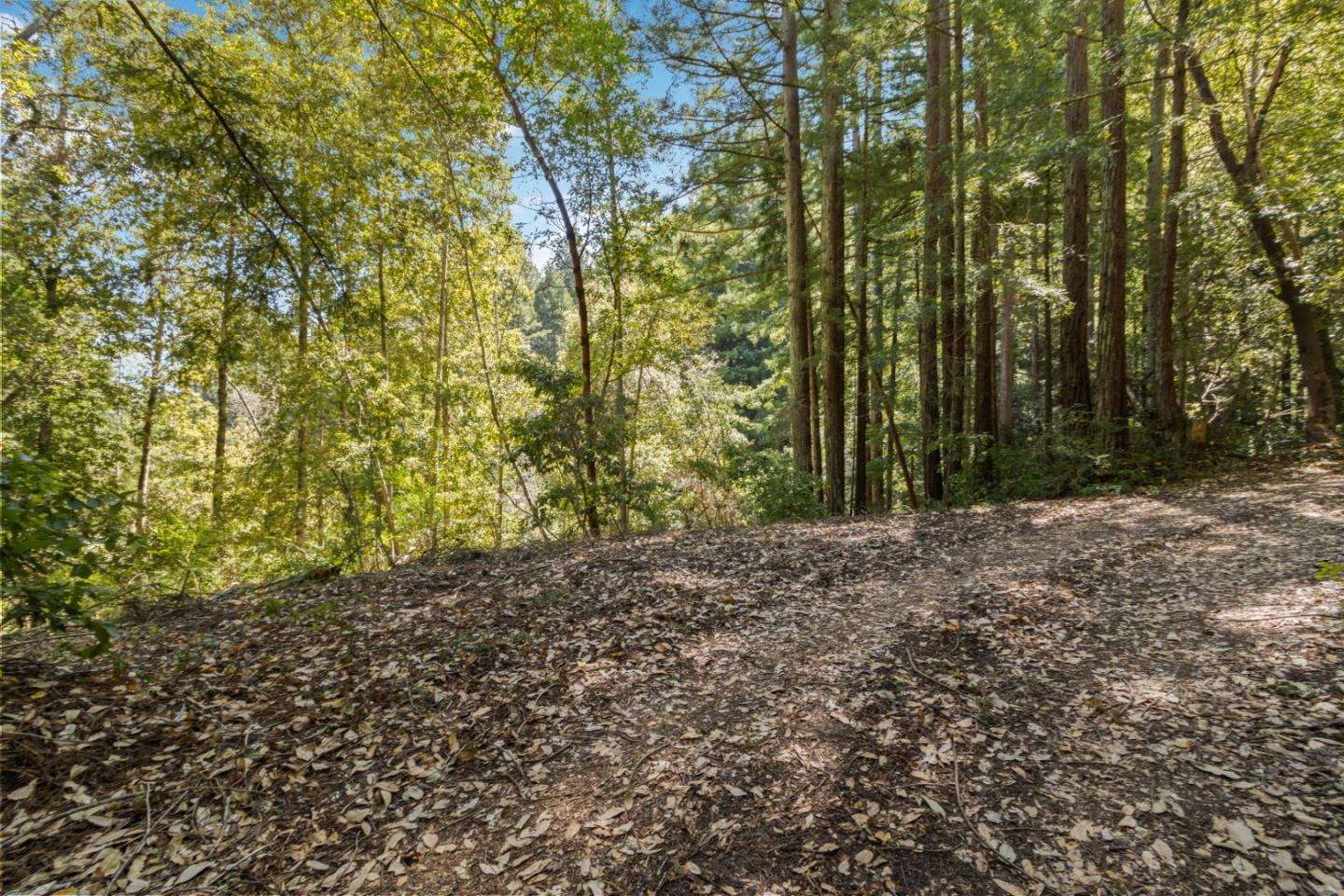 1 Hubbard Gulch Road Ben Lomond, CA 95005 - Photo 20 of 29 Gallery Image 20