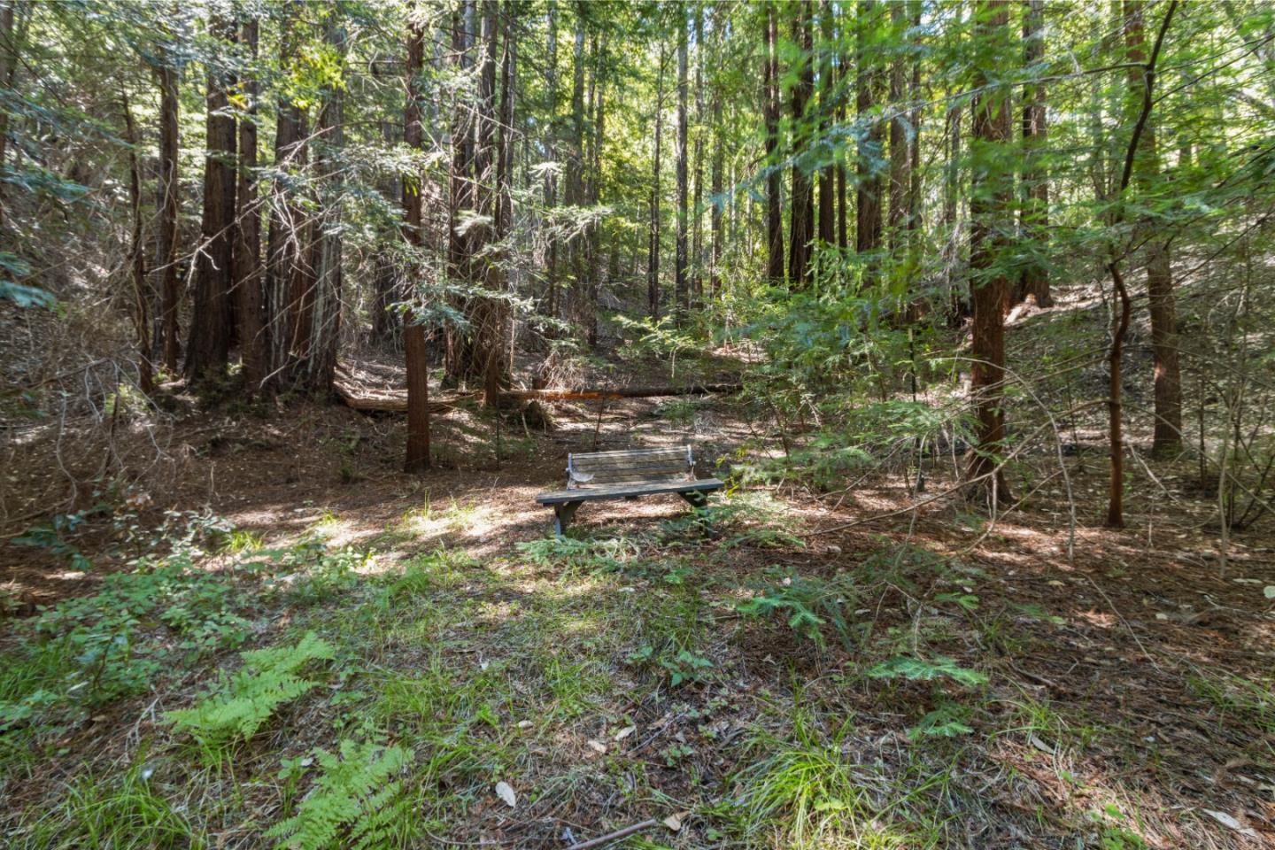 1 Hubbard Gulch Road Ben Lomond, CA 95005 - Photo 2 of 29 Gallery Image 2
