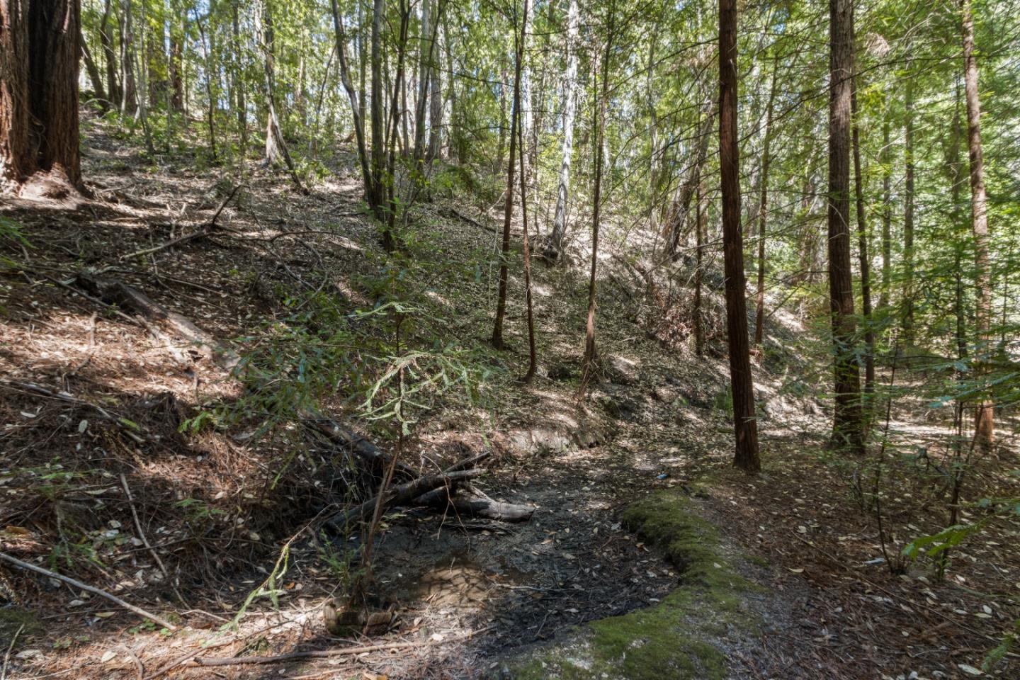 1 Hubbard Gulch Road Ben Lomond, CA 95005 - Photo 23 of 29 Gallery Image 23