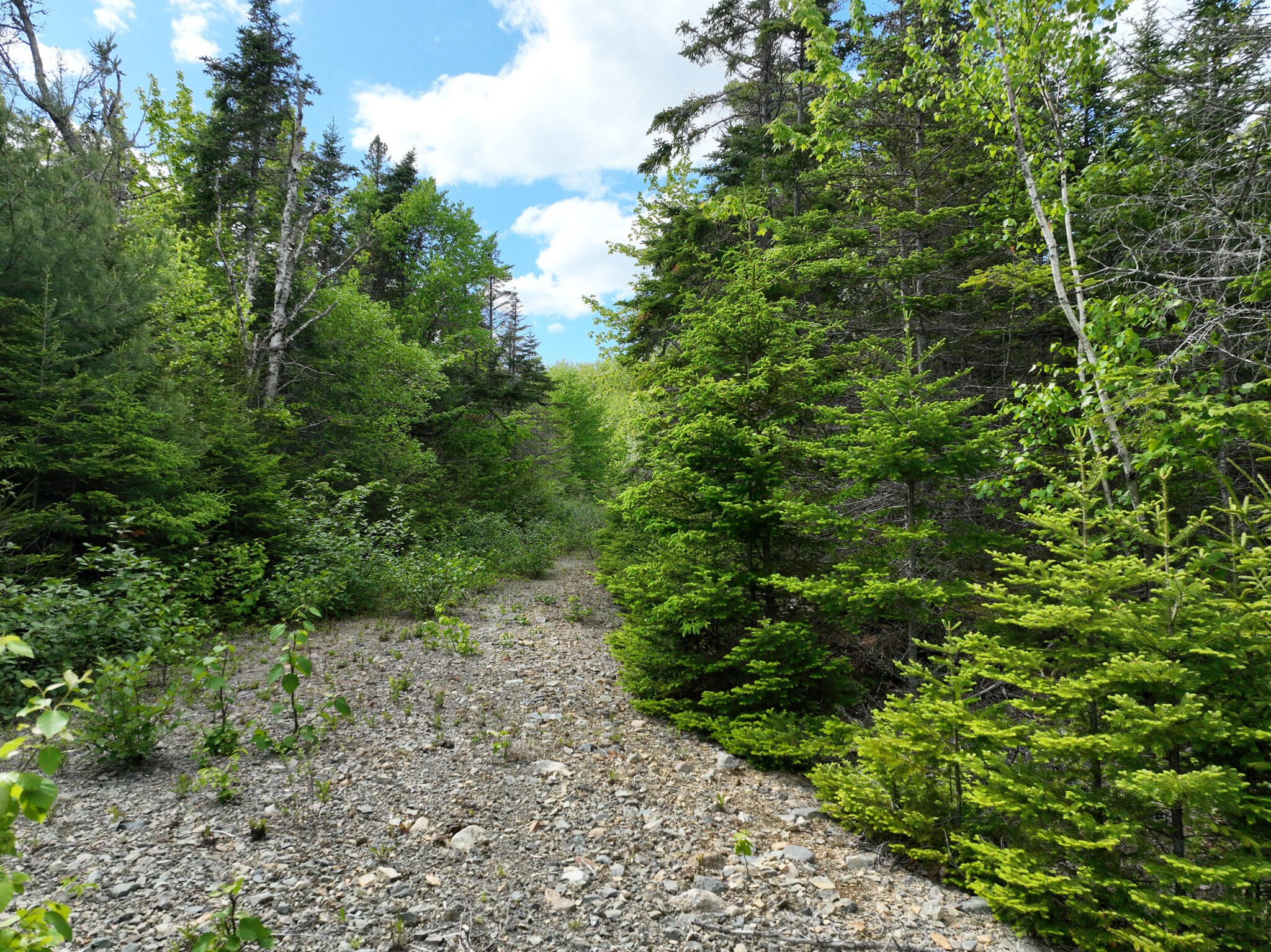18-05 Number 9 Road Lubec, ME 04652 - Photo 9 of 43 DJI_0394
