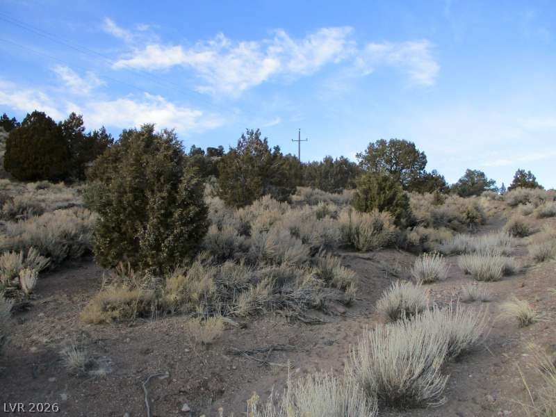 322 (9.86 Ac) Pioche, NV 89043 - Photo 2 of 9 View of nature