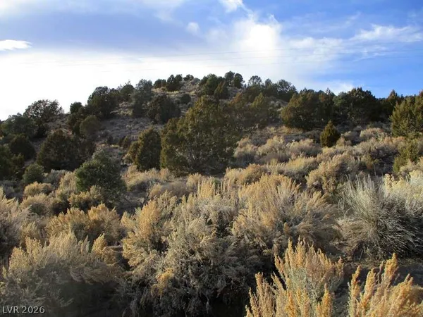 $246,500 | 322 (9.86 Ac), Pioche, NV 89043